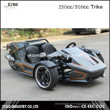 Ztr CEE 250cc Reverse Trike